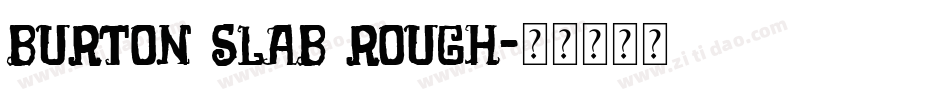 Burton Slab Rough字体转换